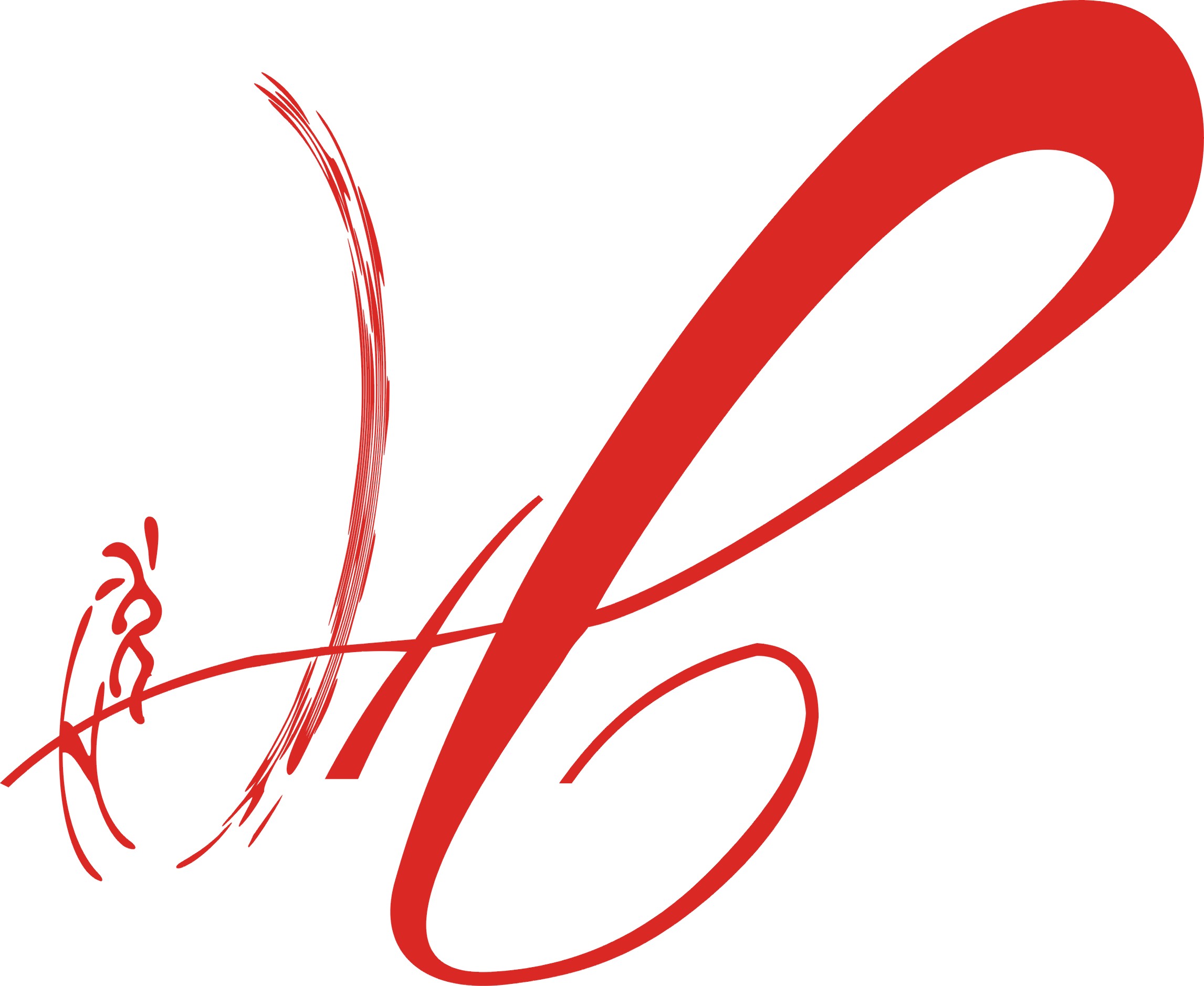 武漢慧覺系統(tǒng)工程有限公司LOGO.jpg